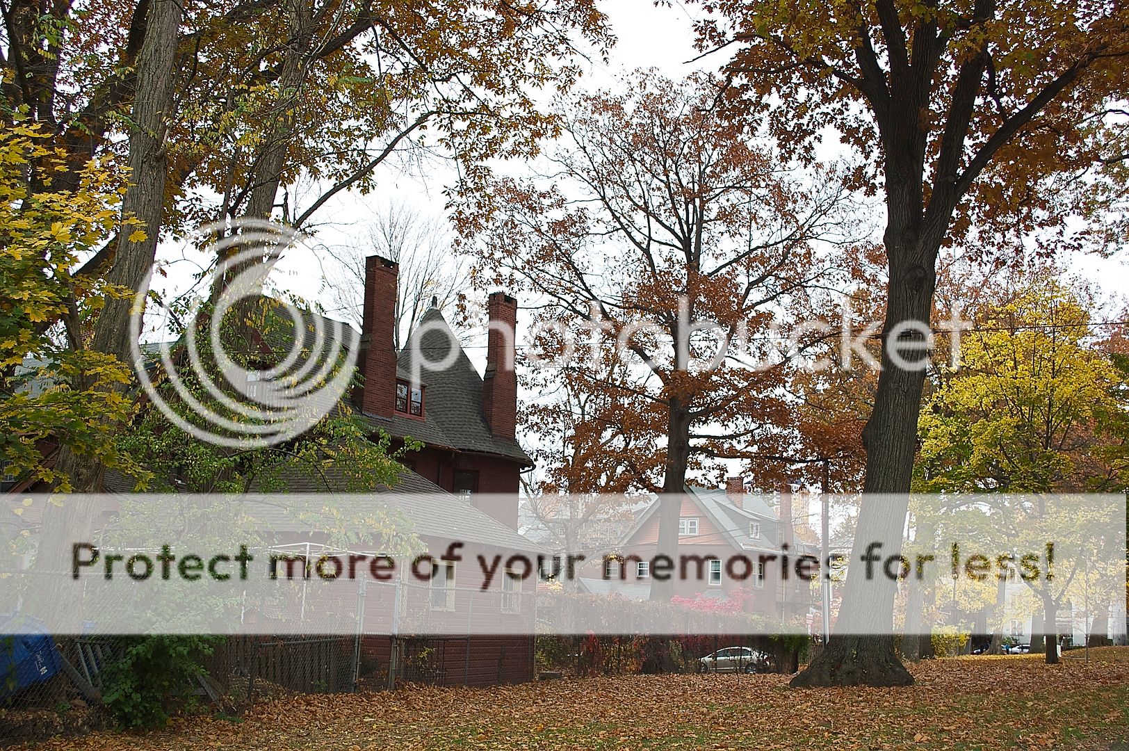 In Your Neighborhood Frog Hollow Real Hartford